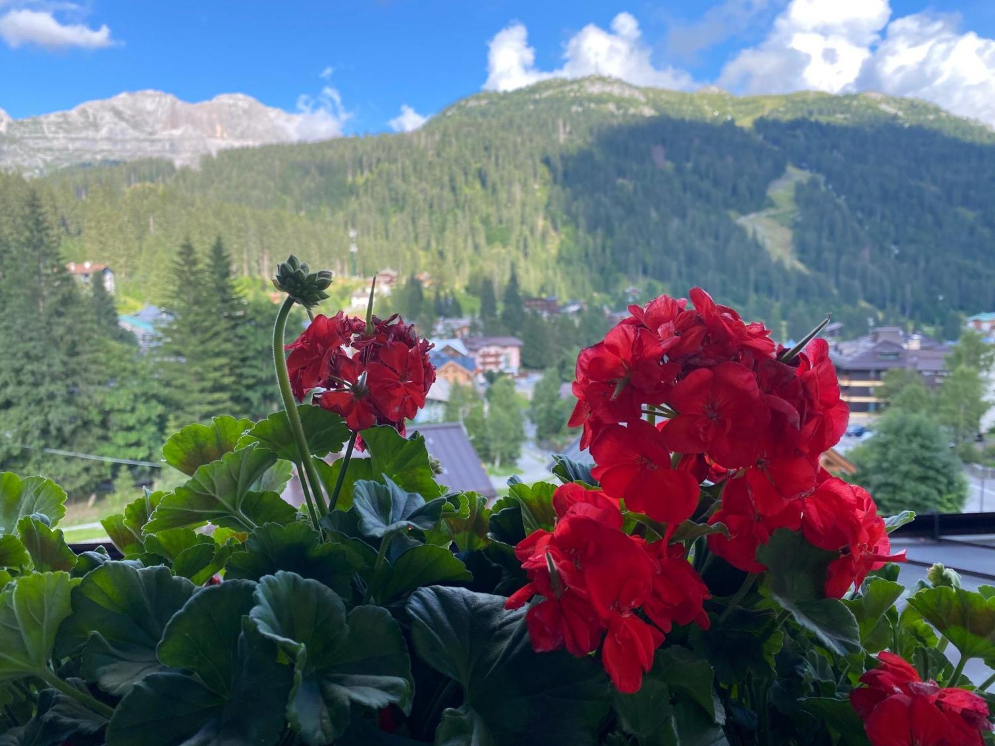 Hotel Dahu Madonna di Campiglio Ngoại thất bức ảnh